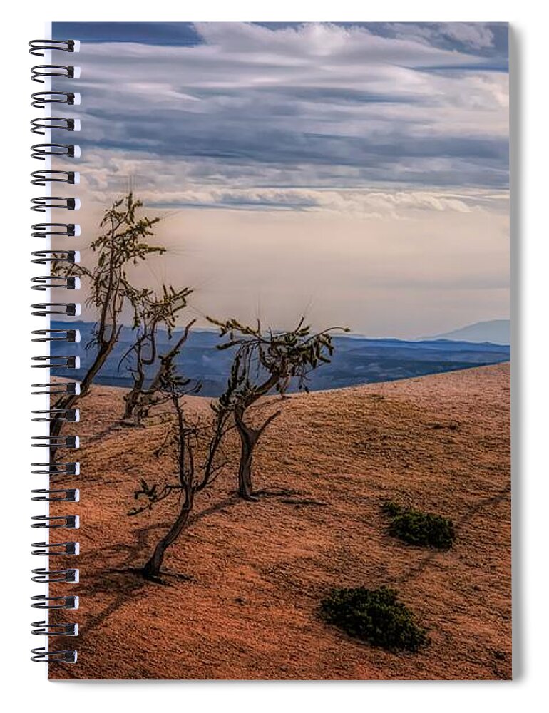 Bryce Spiral Notebook featuring the photograph Bryce Landscape by Jim Cook
