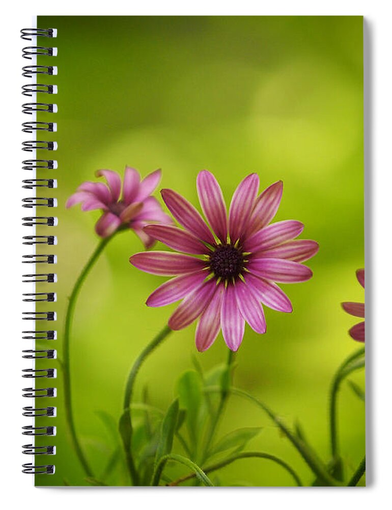Flowers Spiral Notebook featuring the photograph Bubbly Sopranos by Dorothy Lee