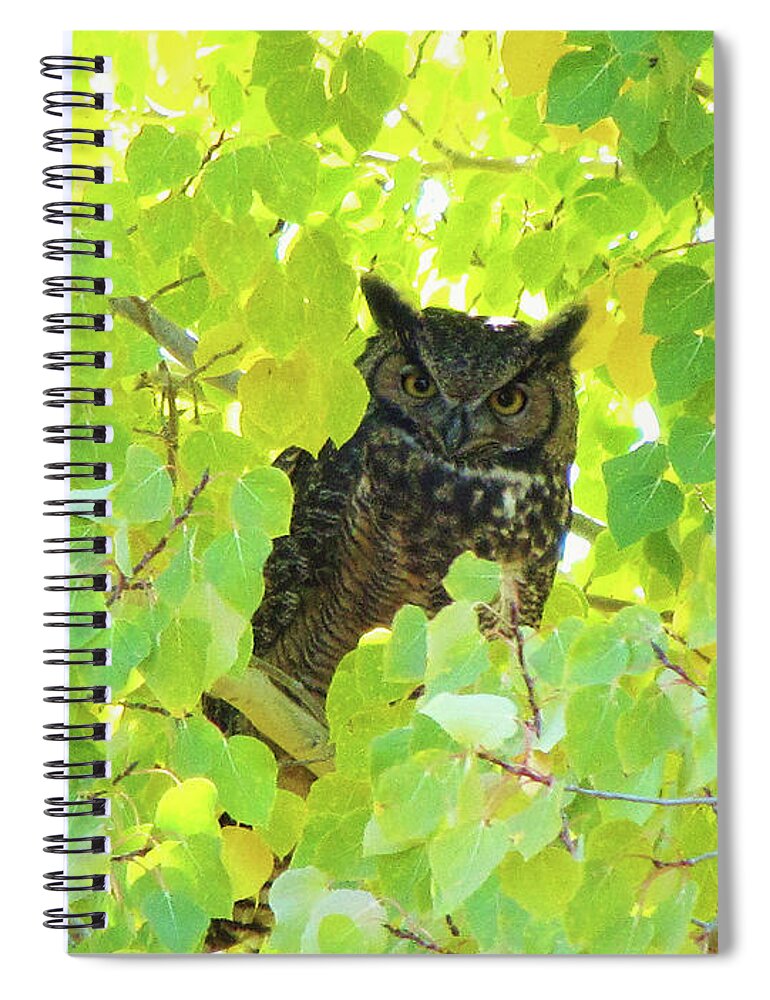 Owl Spiral Notebook featuring the photograph Bubo virginianus by Michele Penner