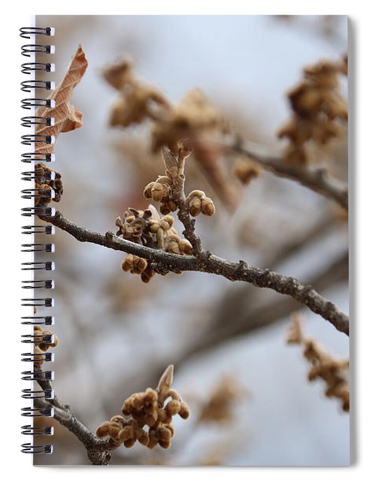 Gray Spiral Notebook featuring the photograph Buds on Winter Branch in Brown and Gray by Carol Groenen