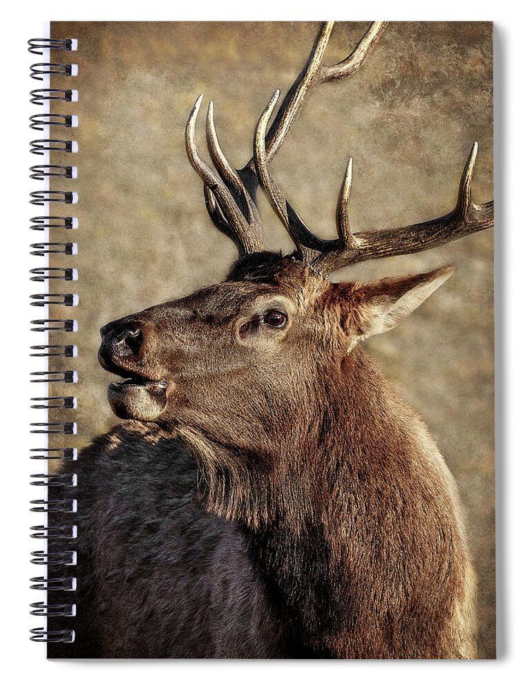 Bugling Elk Spiral Notebook featuring the photograph Bugling Elk by Wes and Dotty Weber