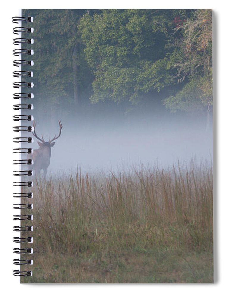 Elk Spiral Notebook featuring the photograph Bull Elk Disappearing in Fog - September 30 2016 by D K Wall