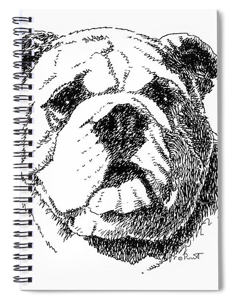 Bulldog Spiral Notebook featuring the drawing Bulldog-Portrait-Drawing by Gordon Punt