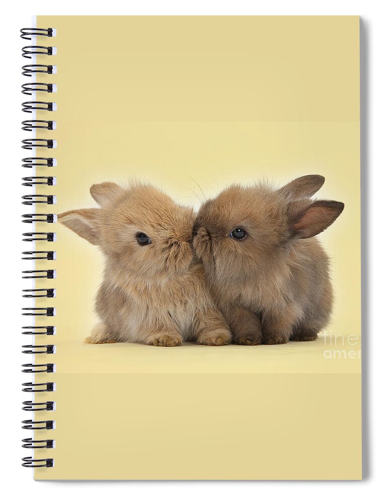 Two Spiral Notebook featuring the photograph Bunny Kisses by Warren Photographic