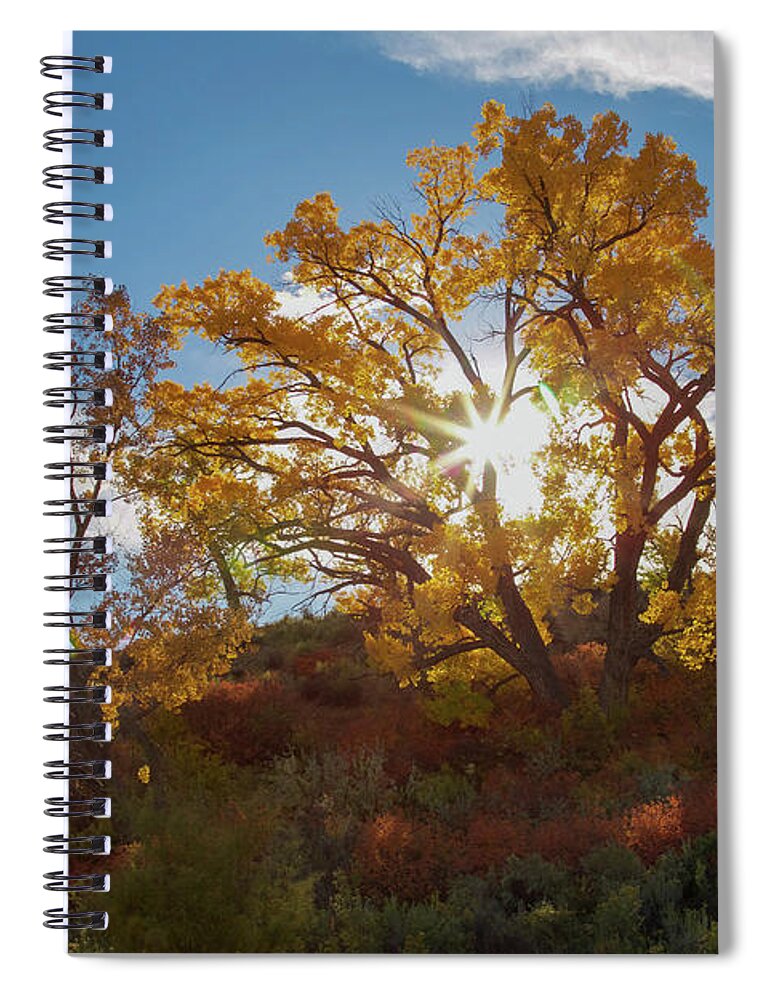 Cottonwood Spiral Notebook featuring the photograph Burst Through the Trees by Jen Manganello
