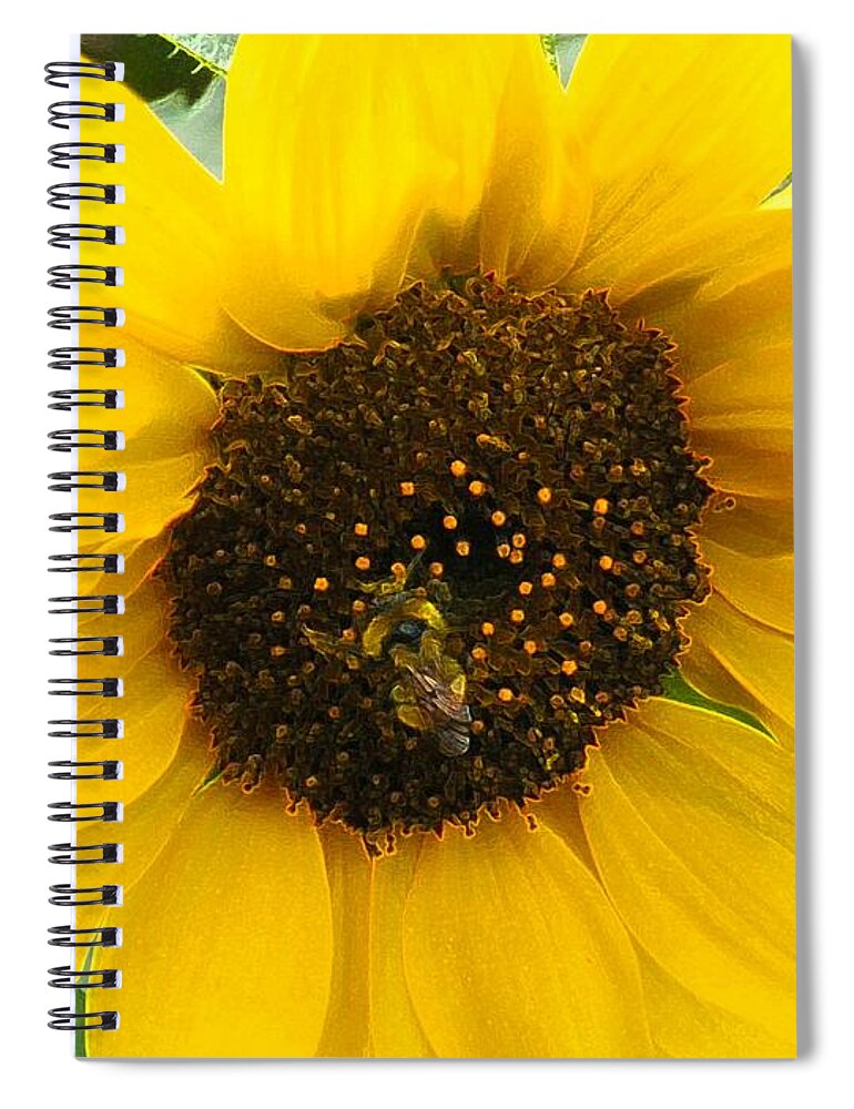 Bee Spiral Notebook featuring the photograph Busy Bee II by Sonya Chalmers