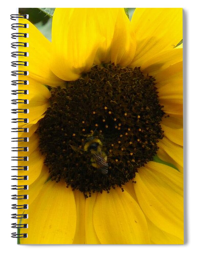 Bee Spiral Notebook featuring the photograph Busy Bee by Sonya Chalmers