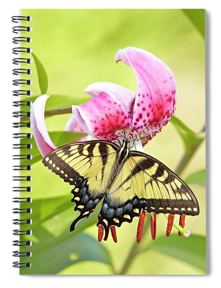 Butterfly Spiral Notebook featuring the photograph Butterfly and Lily by Garden Gate