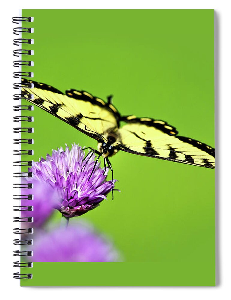 Butterfly Spiral Notebook featuring the photograph Butterfly Art Of Balance by Christina Rollo