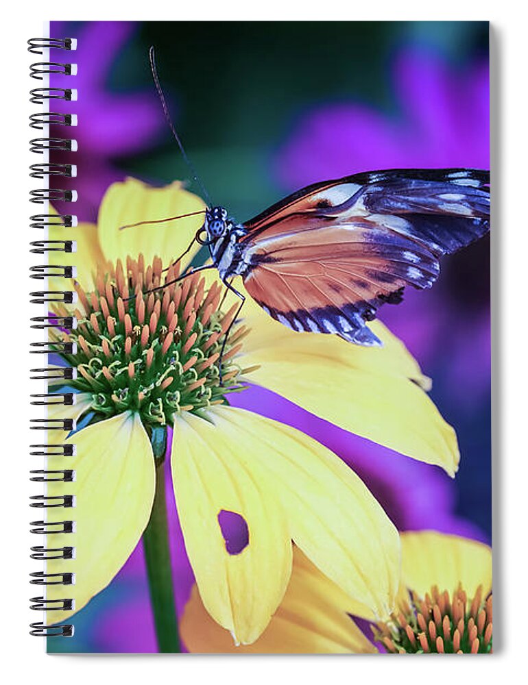  Spiral Notebook featuring the photograph Butterfly Blues by Rebekah Zivicki