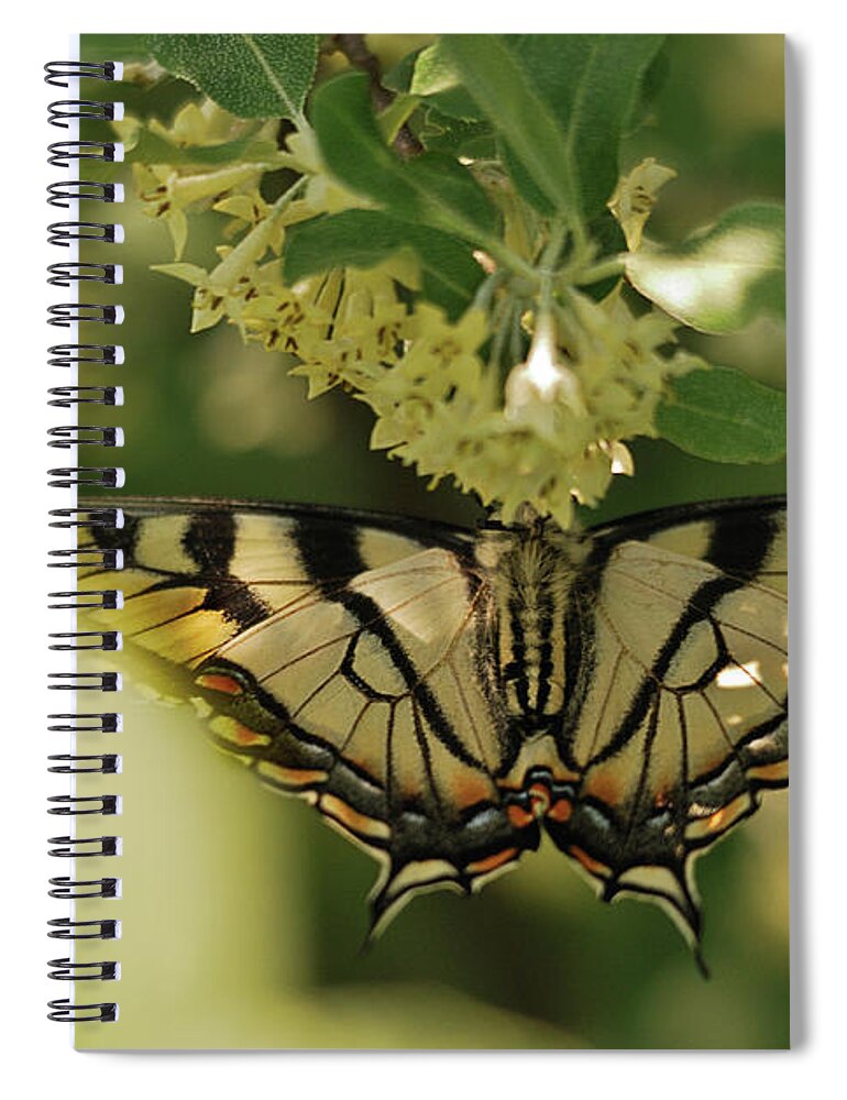 Butterfly Spiral Notebook featuring the photograph Butterfly from Another Side by Sue Capuano