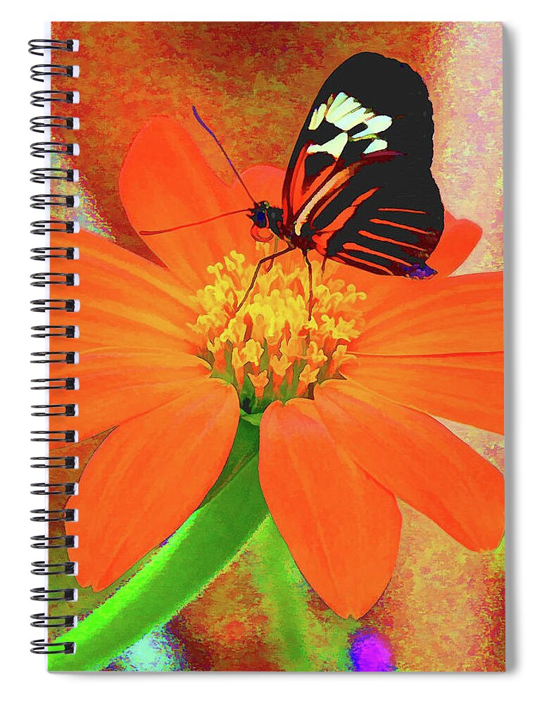  Spiral Notebook featuring the photograph Butterfly Glow by Rochelle Berman