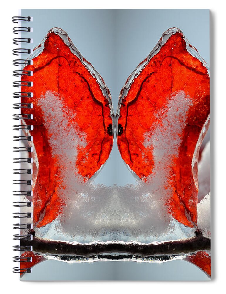 Ice Spiral Notebook featuring the photograph Butterfly in Ice by James Barber