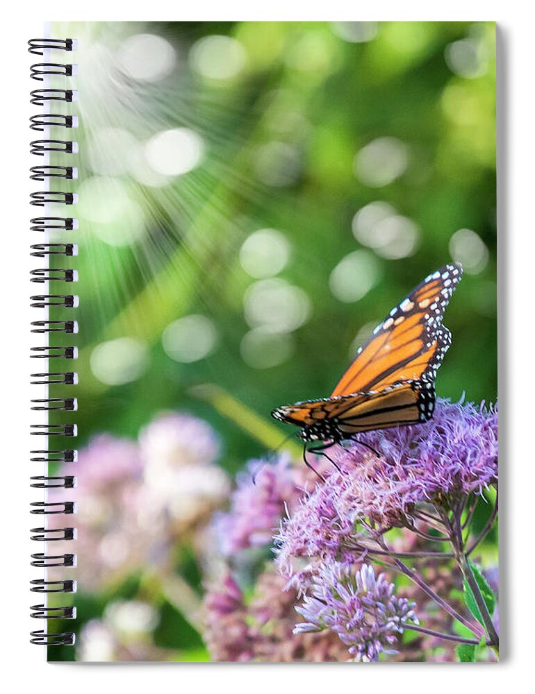 Butterfly Spiral Notebook featuring the photograph Butterfly Light by Cathy Kovarik
