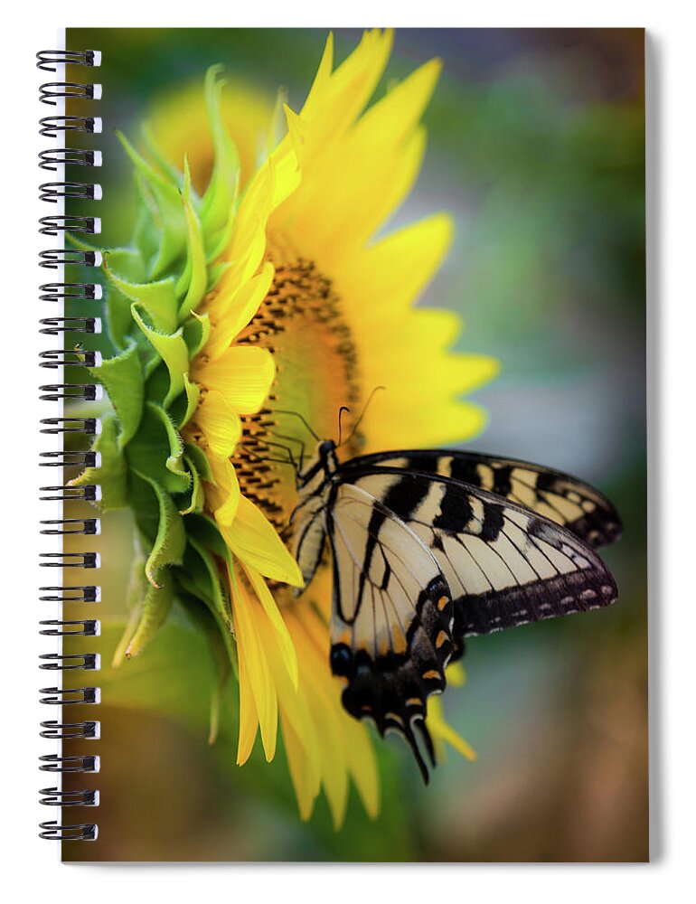 Swallowtail Butterflies Spiral Notebook featuring the photograph Butterfly Mornings by Karen Wiles