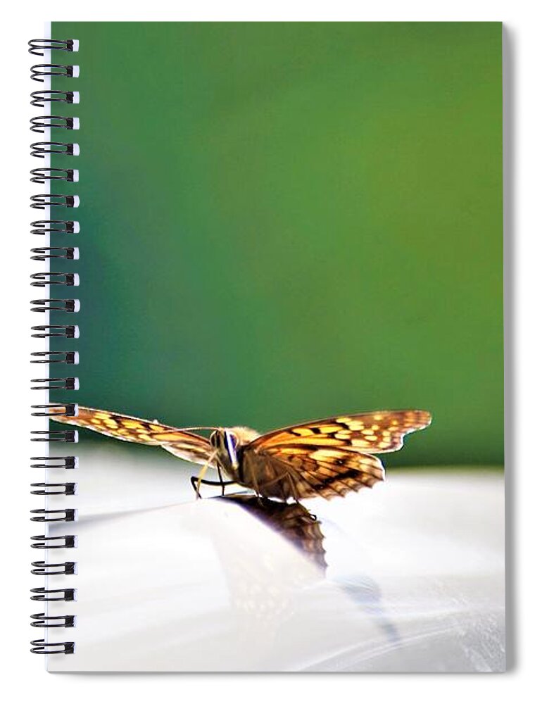 Butterflies Spiral Notebook featuring the photograph Butterfly on my car5 by Merle Grenz
