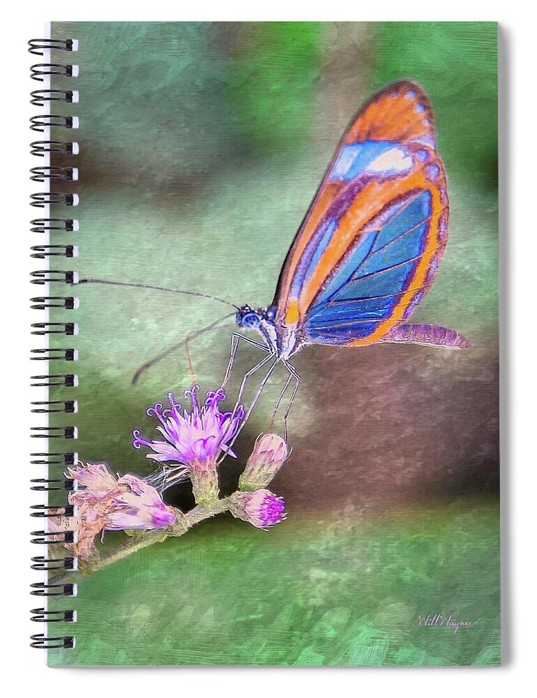 Butterfly Spiral Notebook featuring the photograph Butterfly on Pink Flower by Will Wagner