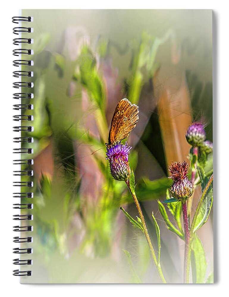 Butterfly On Thistle Bloom Spiral Notebook featuring the photograph Butterfly on thistle bloom @h7 by Leif Sohlman