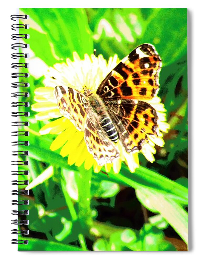 Dandelion Spiral Notebook featuring the photograph Butterfly by Vesna Martinjak