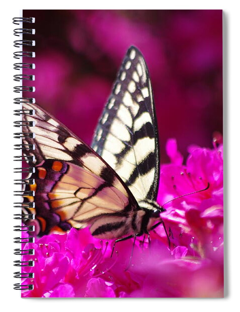 Butterfly Spiral Notebook featuring the photograph Butterfly1 by Gerald Kloss
