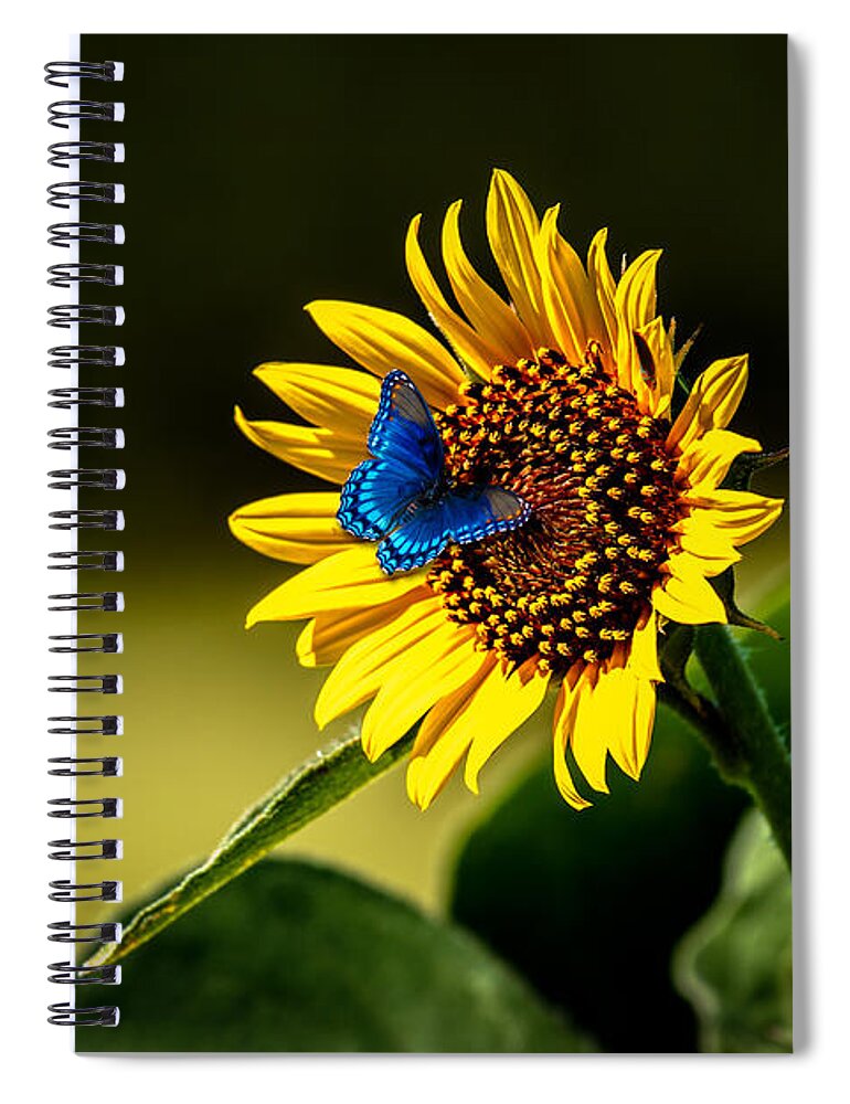 American Spiral Notebook featuring the photograph Butterflys-N-Flowers by Doug Long