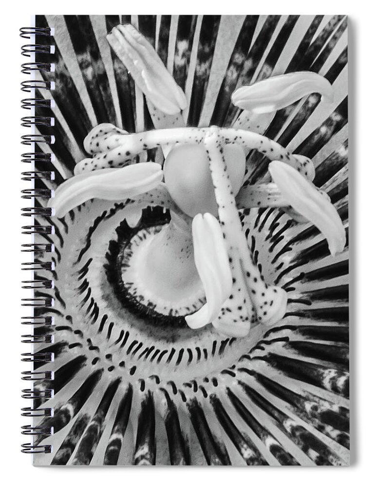 Atlantic Spiral Notebook featuring the photograph BW Marco of Passiflora in Bermuda by Jeff at JSJ Photography