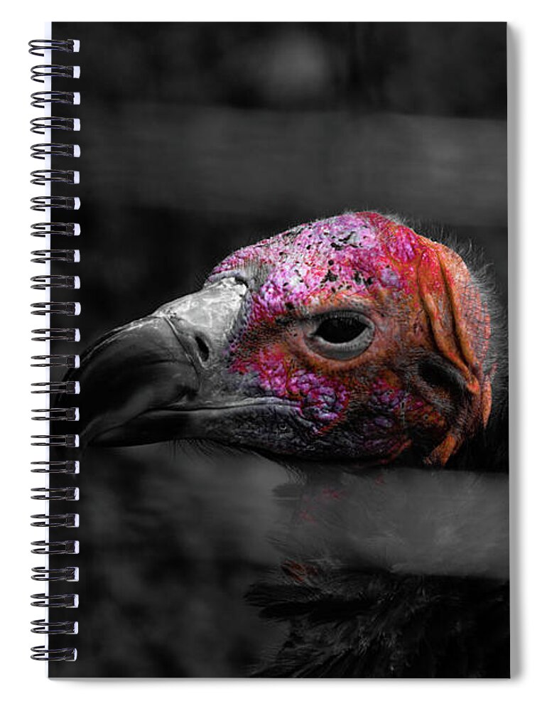 Bnw Spiral Notebook featuring the photograph BW Vulture - Wildlife by Adrian De Leon Art and Photography