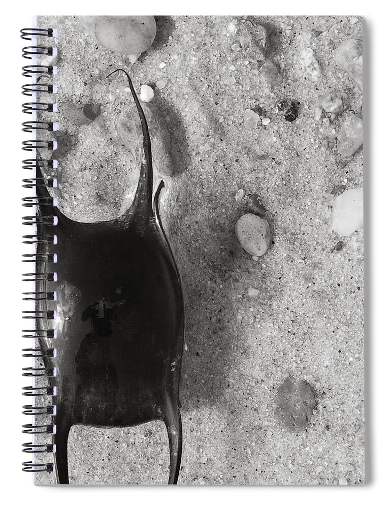 Skate Spiral Notebook featuring the photograph bw1 by Charles Harden