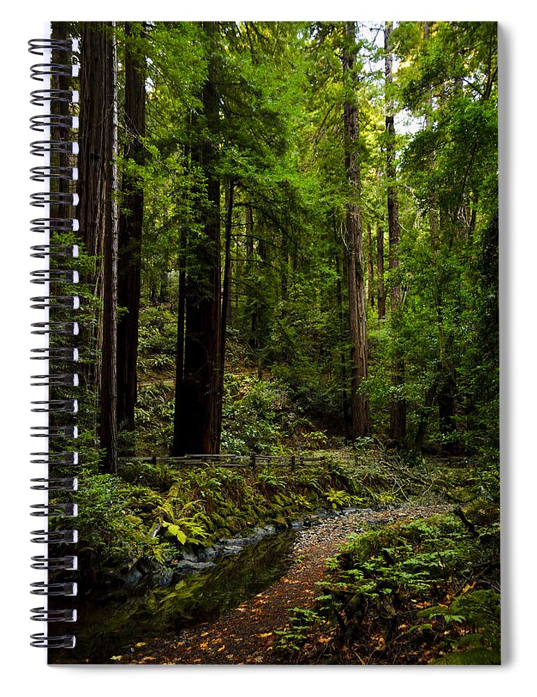 Nature Spiral Notebook featuring the photograph By the Stream in Muir Woods by Brian Tada