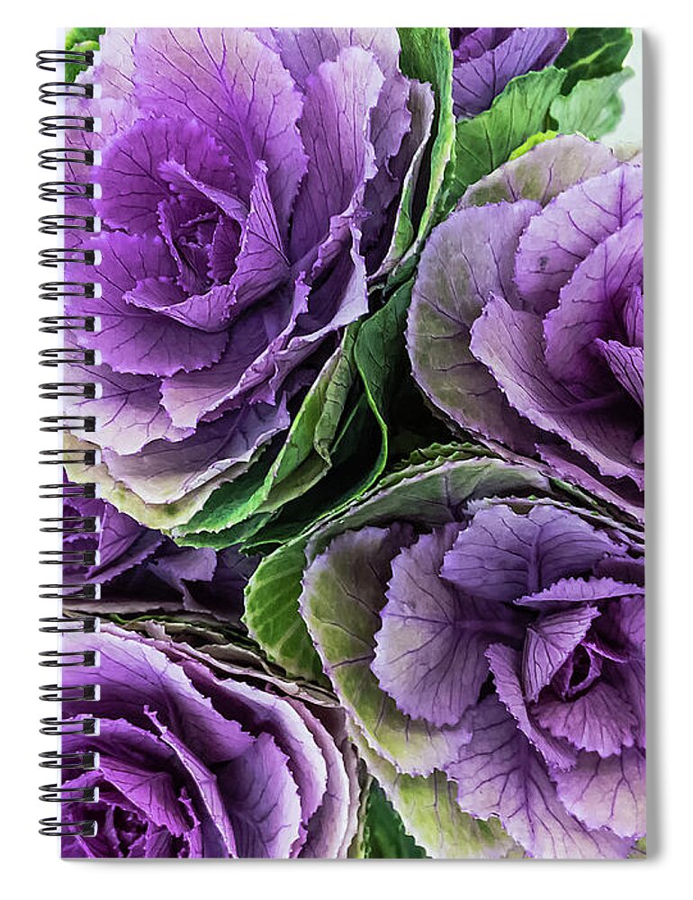 Cabbage Flower By Marina Usmanskaya Spiral Notebook featuring the photograph Cabbage Flower by Marina Usmanskaya