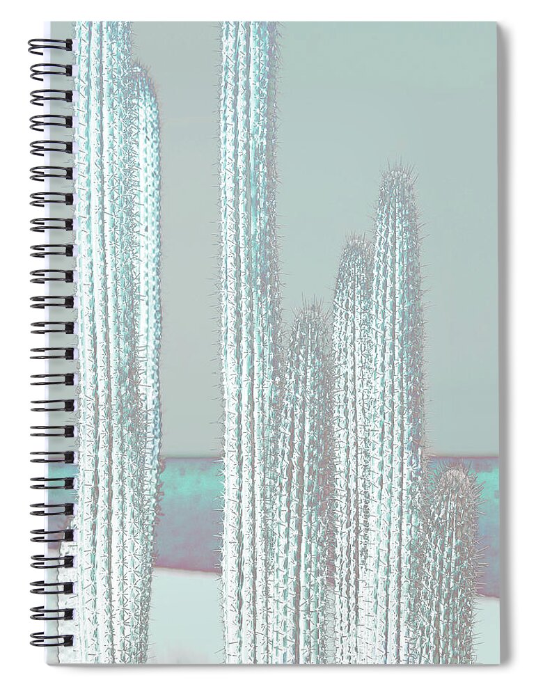 Digital Art Spiral Notebook featuring the digital art Cactus-blues by Suzanne Carter