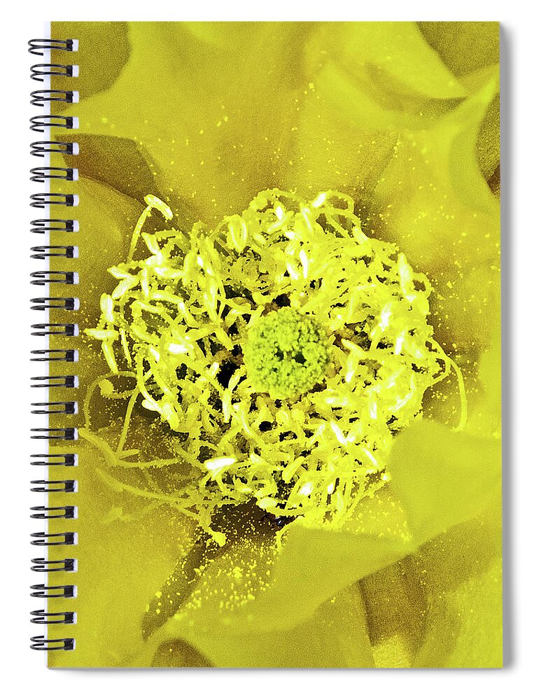 Grasslands Spiral Notebook featuring the photograph Cactus Flower by Ira Marcus