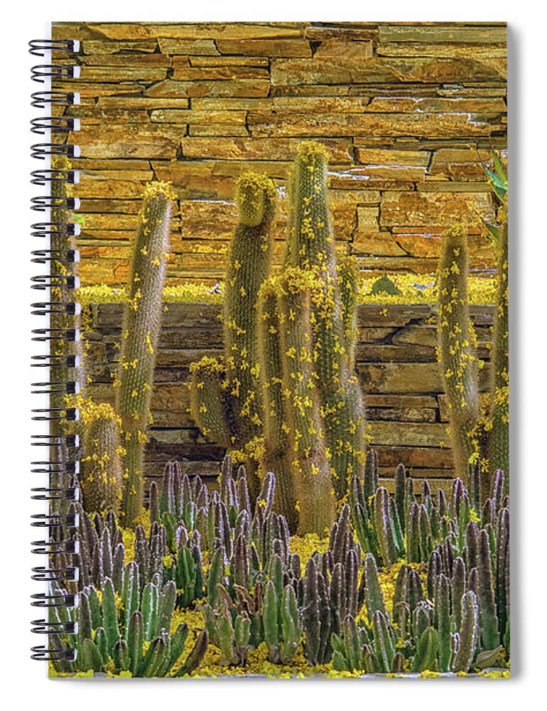 Cactus Spiral Notebook featuring the photograph Cactus Garden 5861-041118-1cr by Tam Ryan