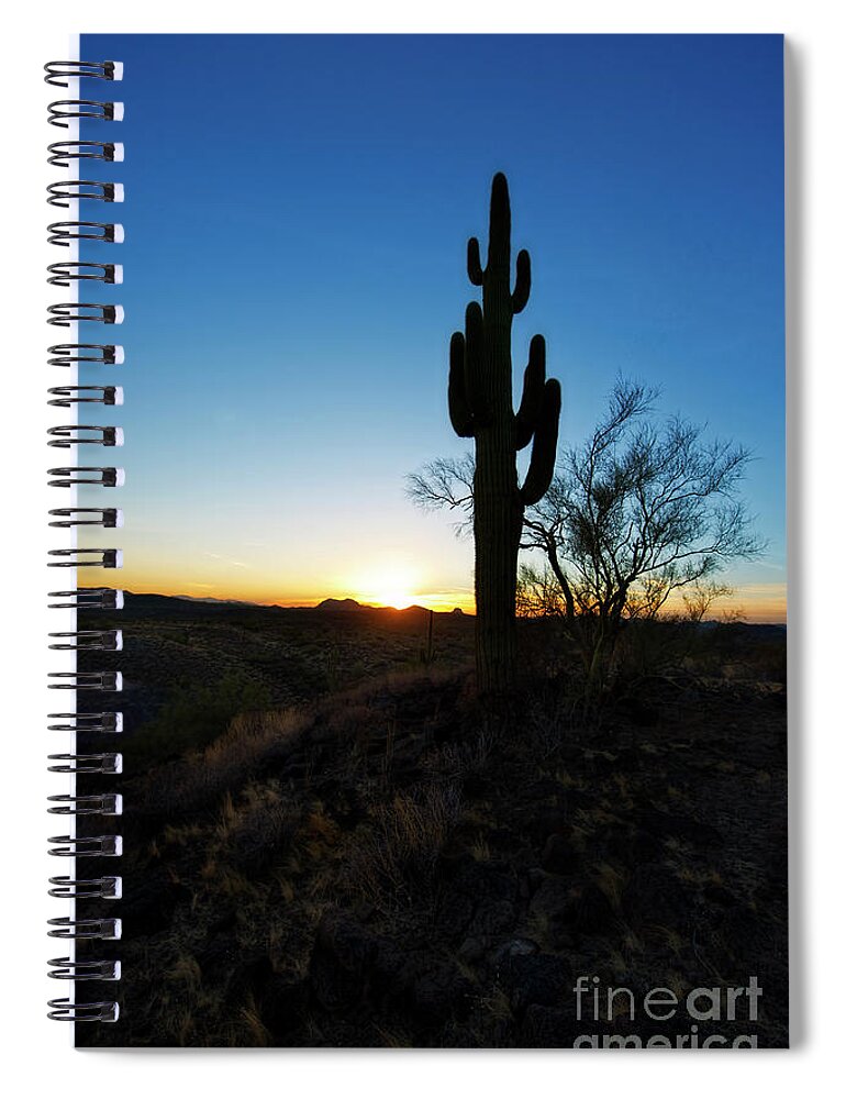 Cactus Spiral Notebook featuring the photograph Cactus Silhouette Vertical by David Arment