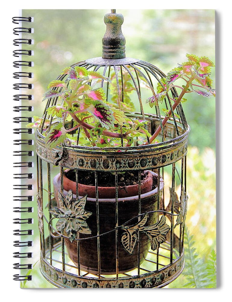 Vintage Bird Cage Spiral Notebook featuring the photograph Caged Coleus by Allen Nice-Webb