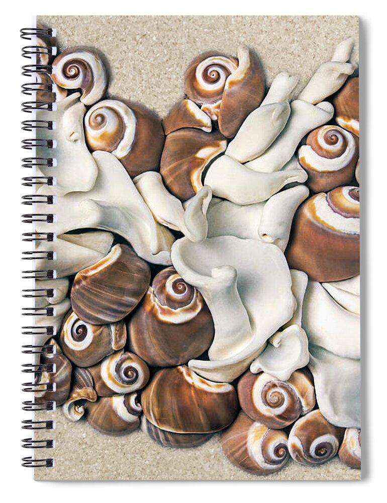 California Spiral Notebook featuring the photograph California Opus 21 by Carol Zee