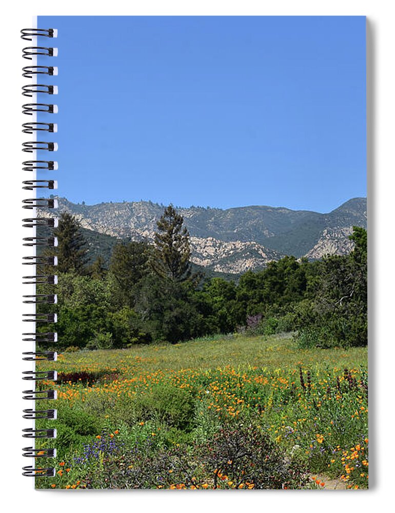 Meadow Spiral Notebook featuring the photograph California Poppies with Wildflowers in Santa Barbara by DejaVu Designs