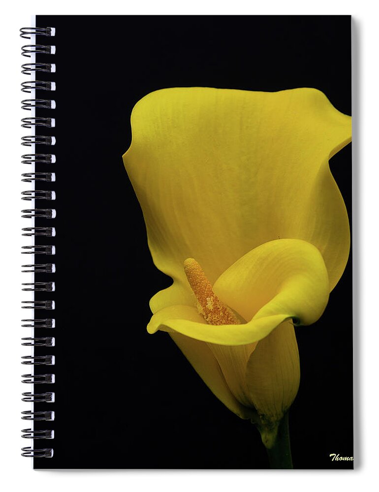 Floral Spiral Notebook featuring the photograph Calla Lily by Thomas Whitehurst