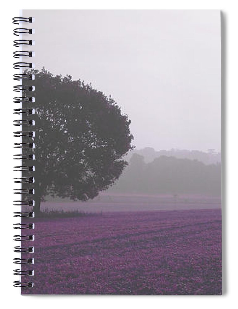 Tree Spiral Notebook featuring the photograph Calm Autumn Mist by Susan Baker