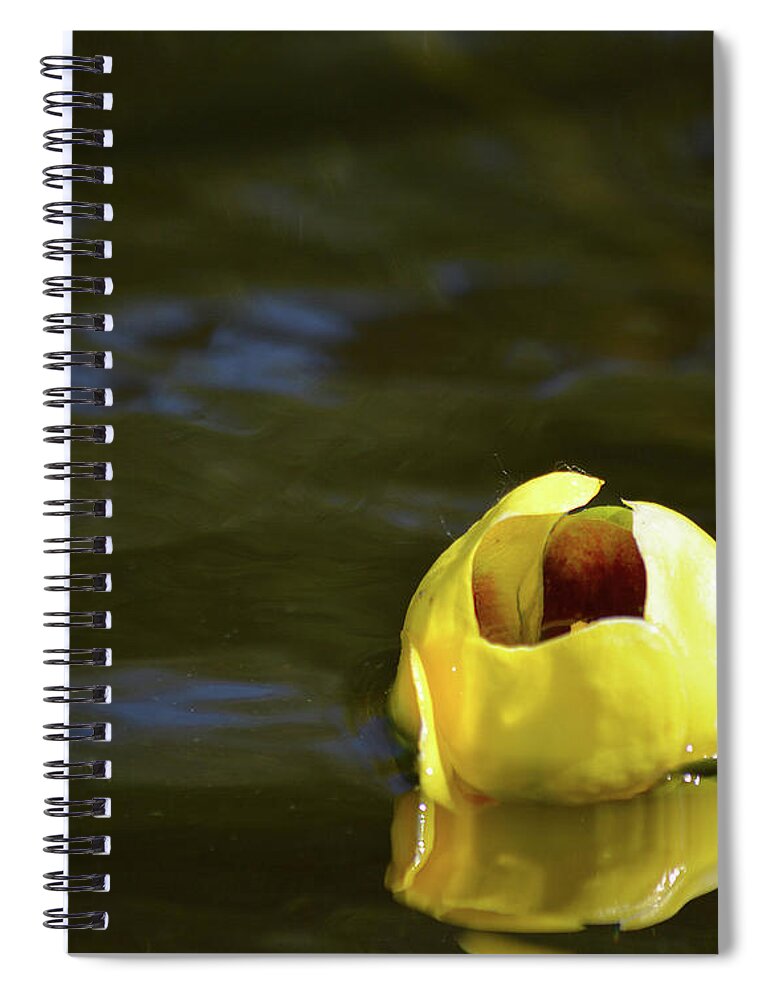 Lily Spiral Notebook featuring the photograph Calm Reflection by Vivian Martin