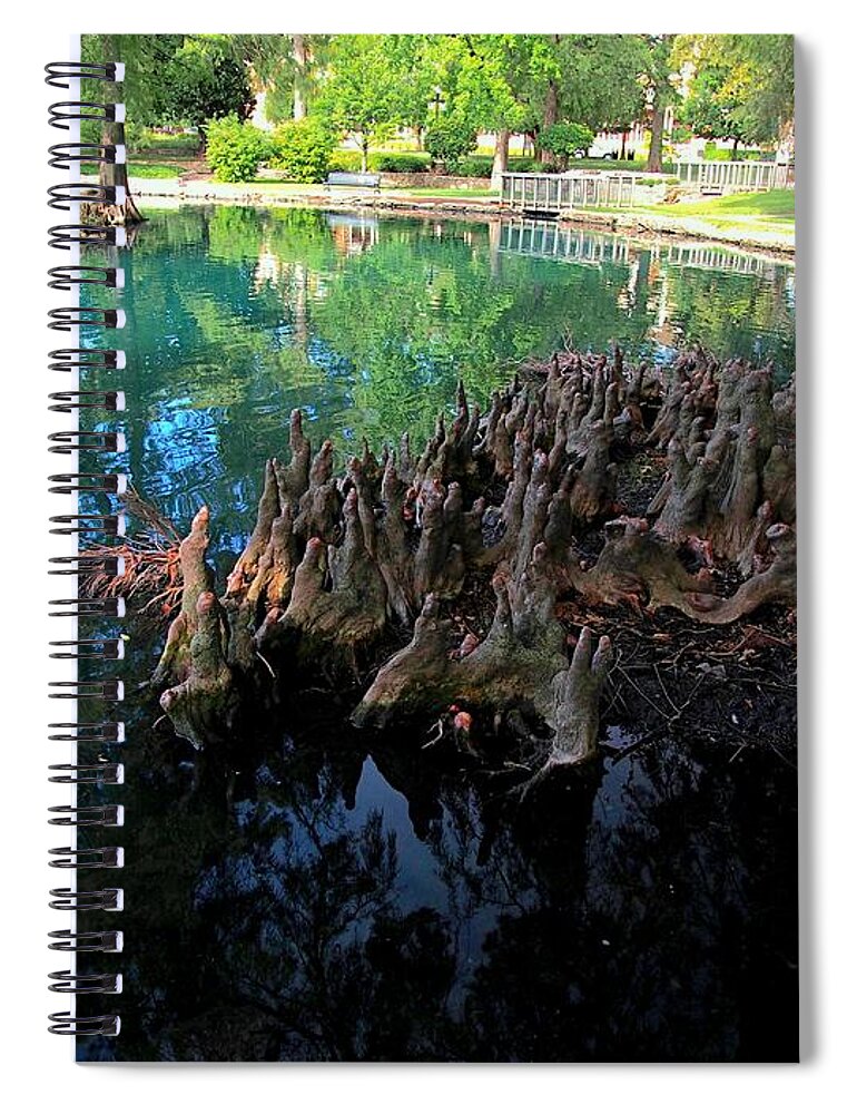 Calm Spiral Notebook featuring the photograph Calm Water and Cypress Knees by Buck Buchanan