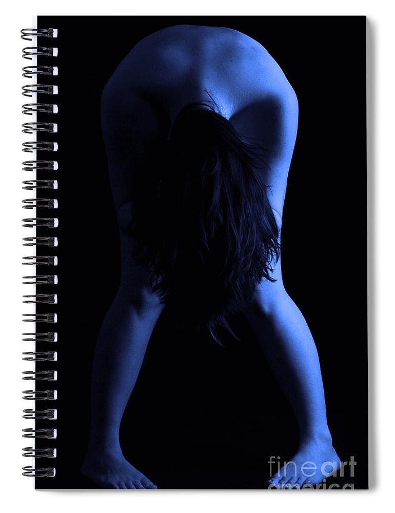Artistic Photographs Spiral Notebook featuring the photograph Cameleon by Robert WK Clark