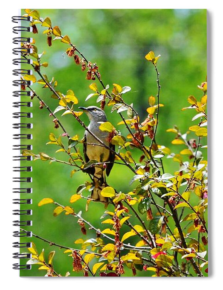 Trees Spiral Notebook featuring the photograph Camouflage by Eileen Brymer