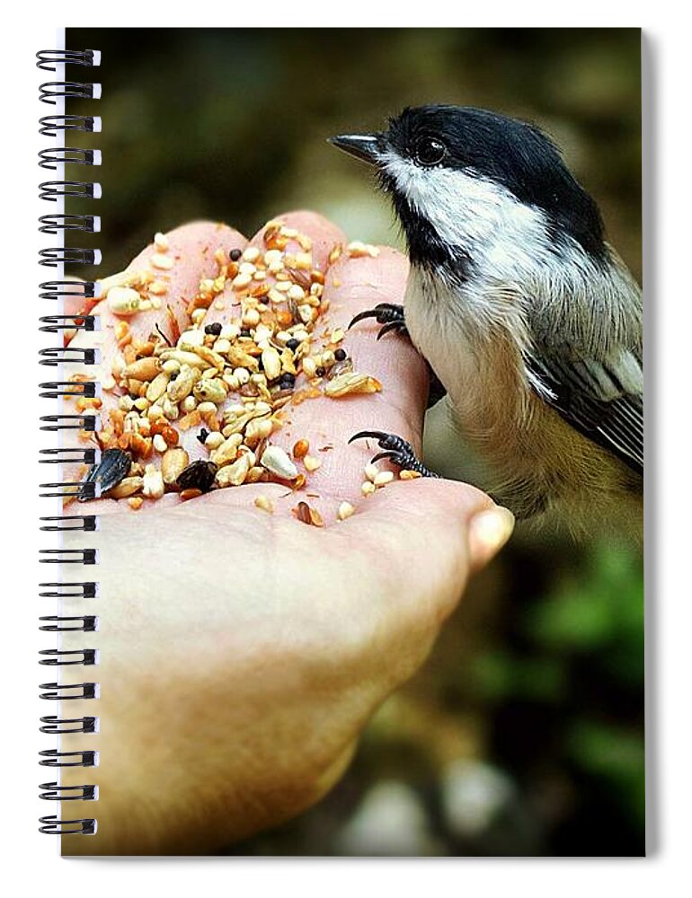 Bird Spiral Notebook featuring the photograph Can I have some of your seeds by Lilia S