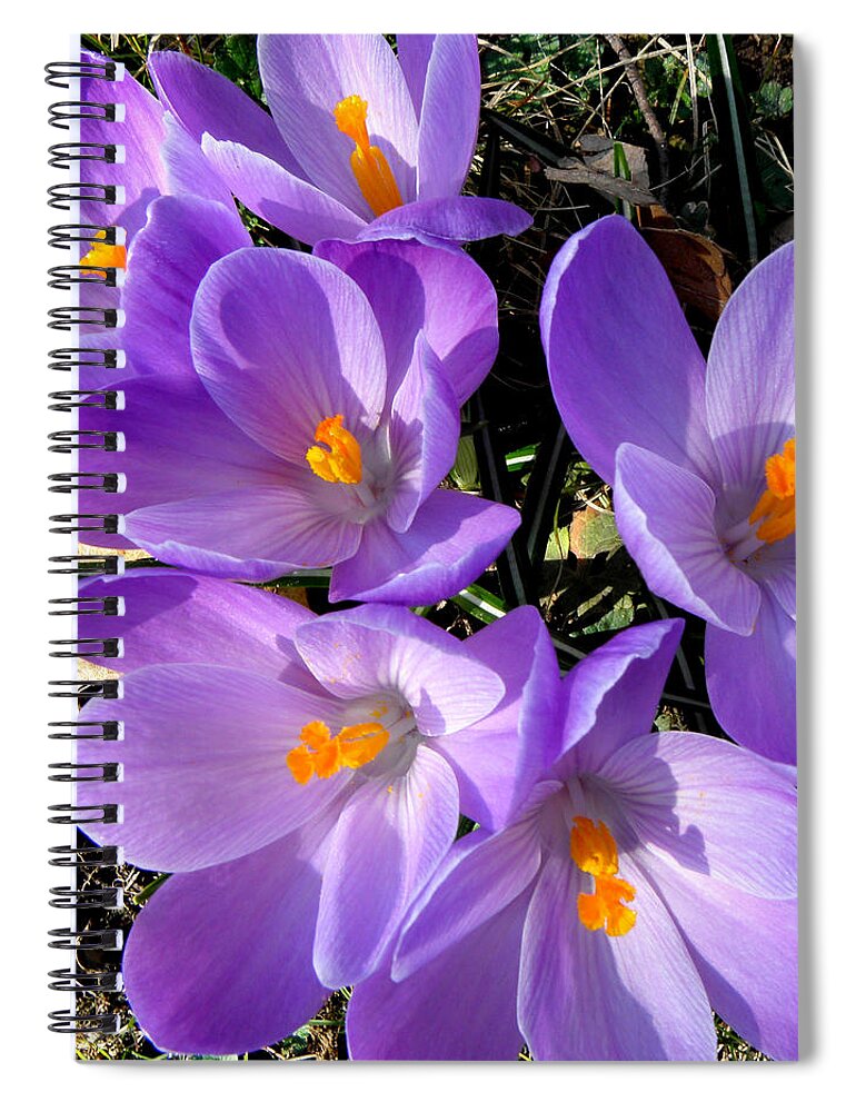 Spring Spiral Notebook featuring the photograph Can you say PURPLE by Kim Galluzzo Wozniak