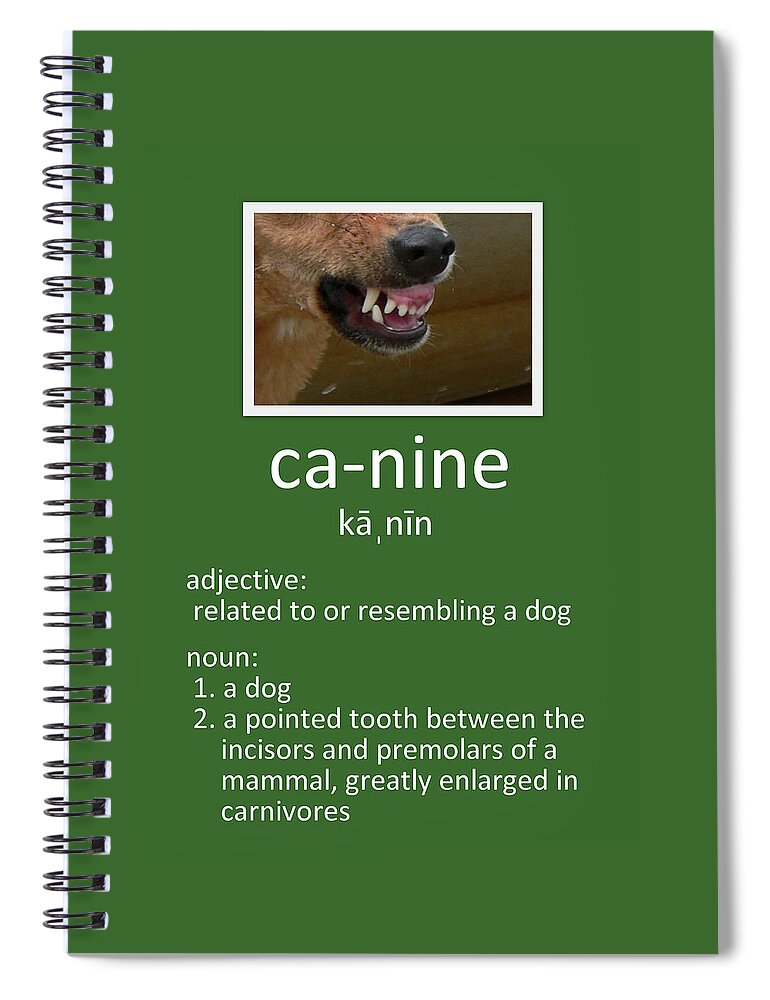 Canine Poster Spiral Notebook featuring the photograph Canine Poster by Kathy K McClellan