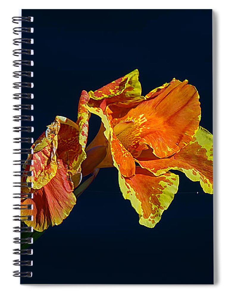Nature Spiral Notebook featuring the photograph Canna by Kenneth Albin