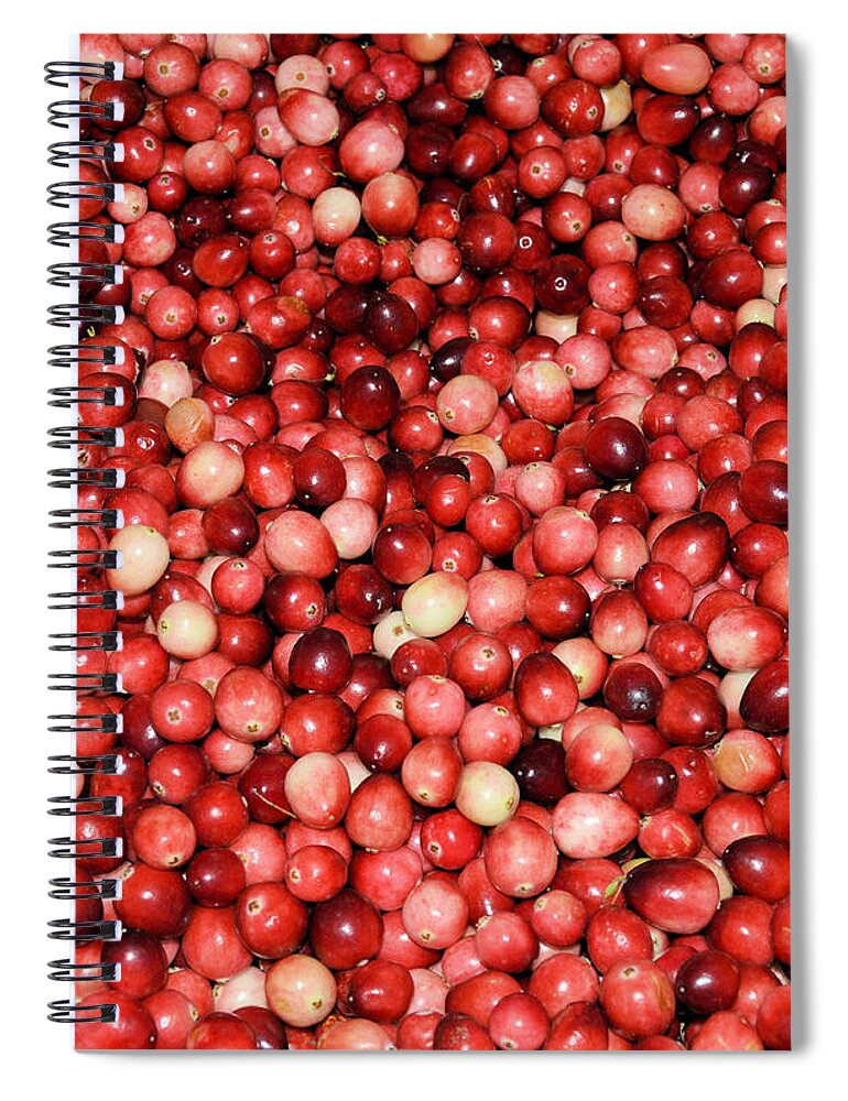 Food Spiral Notebook featuring the photograph Cape Cod Cranberries by Charles HALL