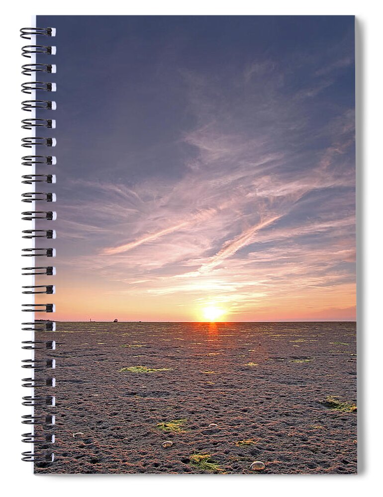 Jellyfish Spiral Notebook featuring the photograph Cape Cod Jellyfish by Juergen Roth