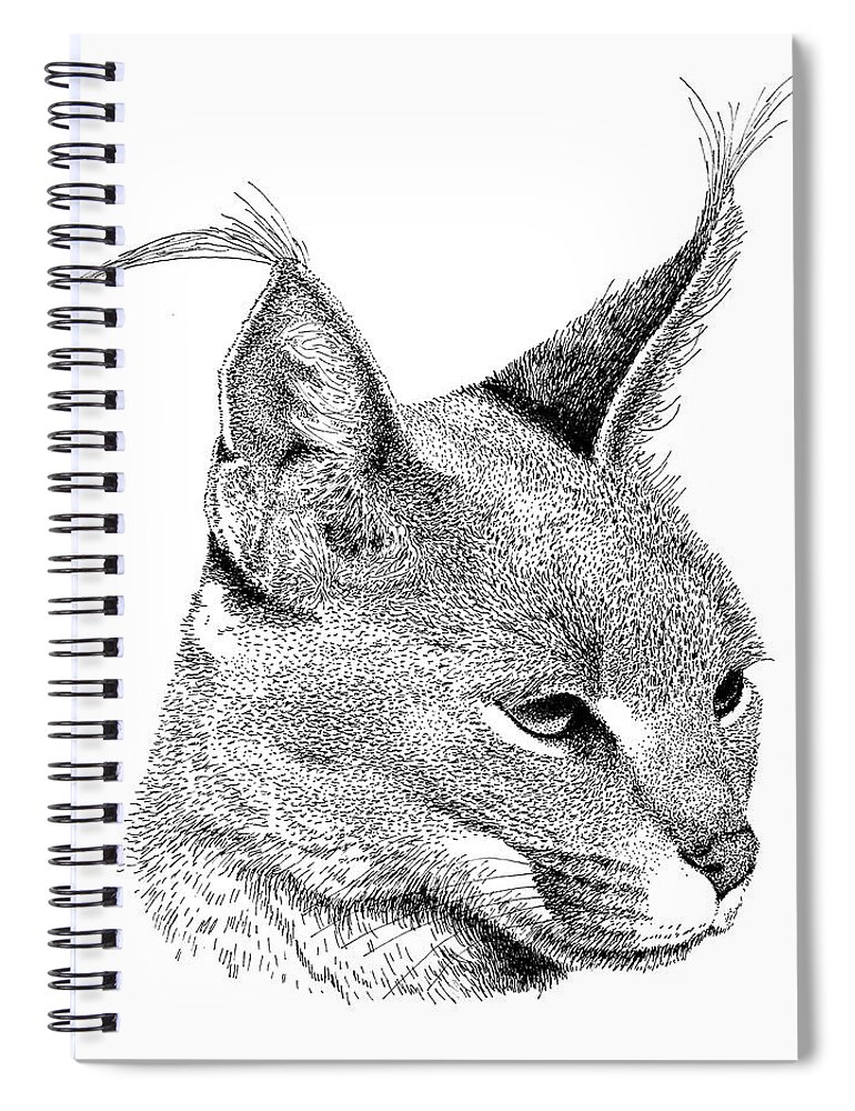Caracl Spiral Notebook featuring the drawing Caracal by Scott Woyak